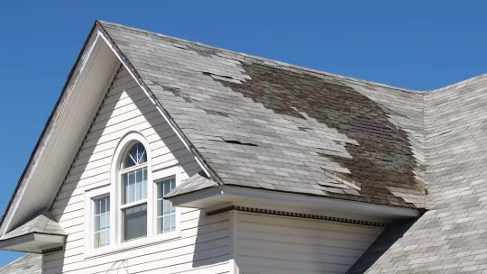 Historic Home Roof Restoration